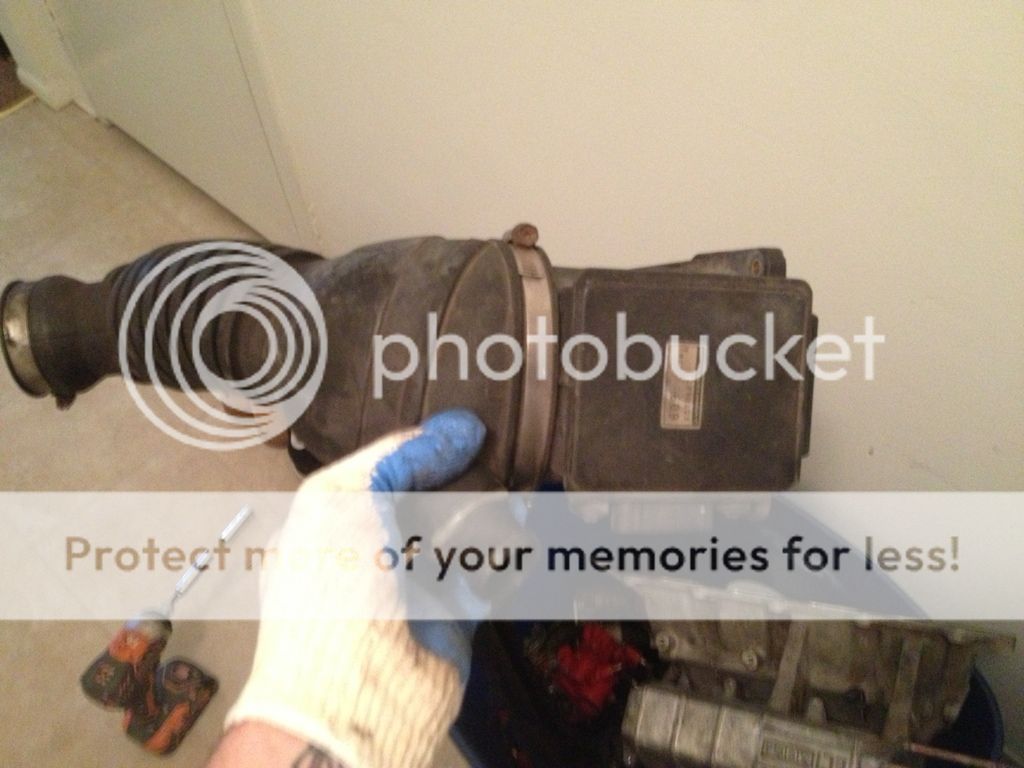 96FA7647-133B-4F91-B2D6-05711F390DB9-3646-0000036B70B0ACFB.jpg